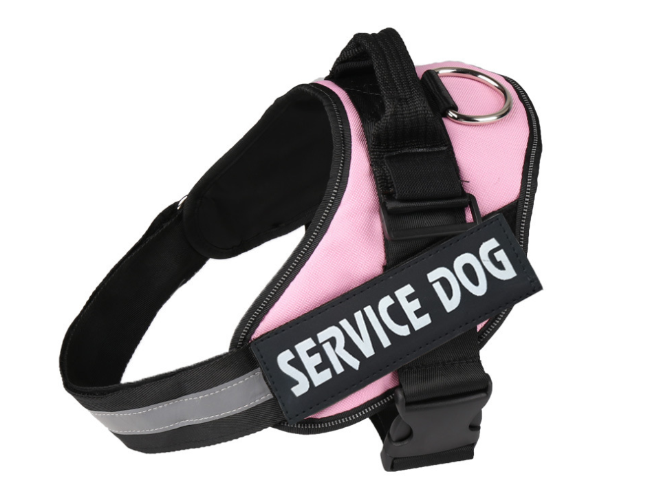 Service Pooch Harness