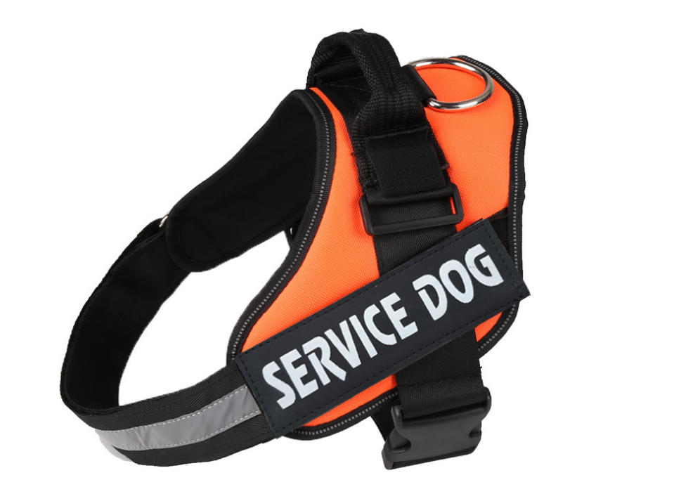 Service Pooch Harness