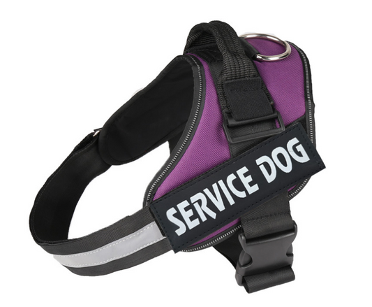 Service Pooch Harness