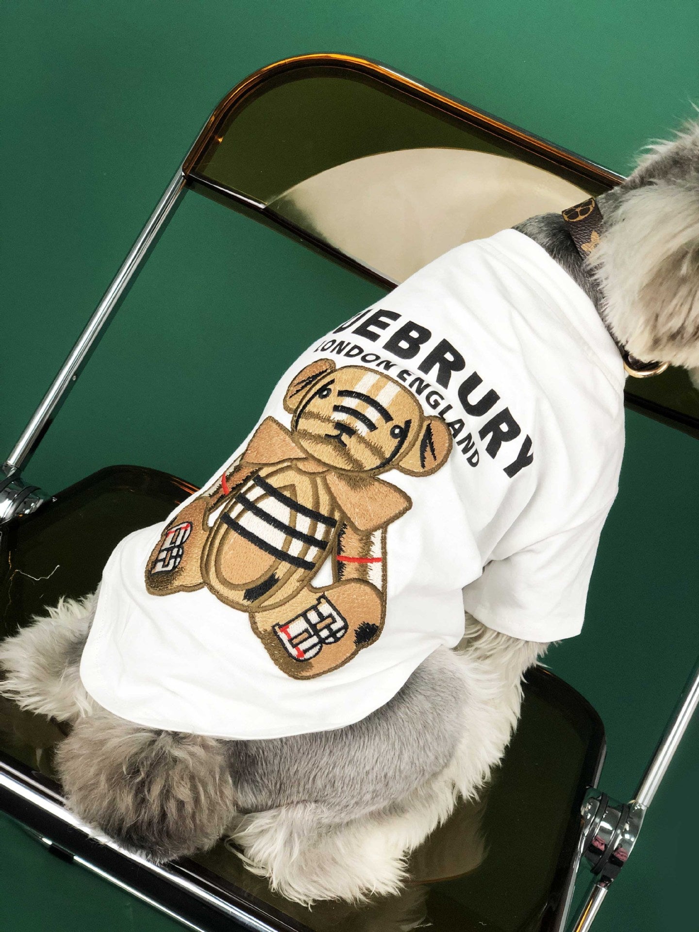 Pooch Bue Brury T-Shirt