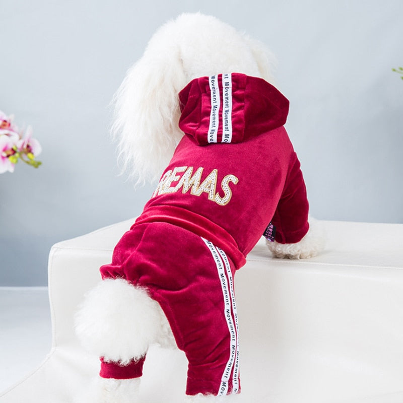 Pooch Diva Sweatsuit