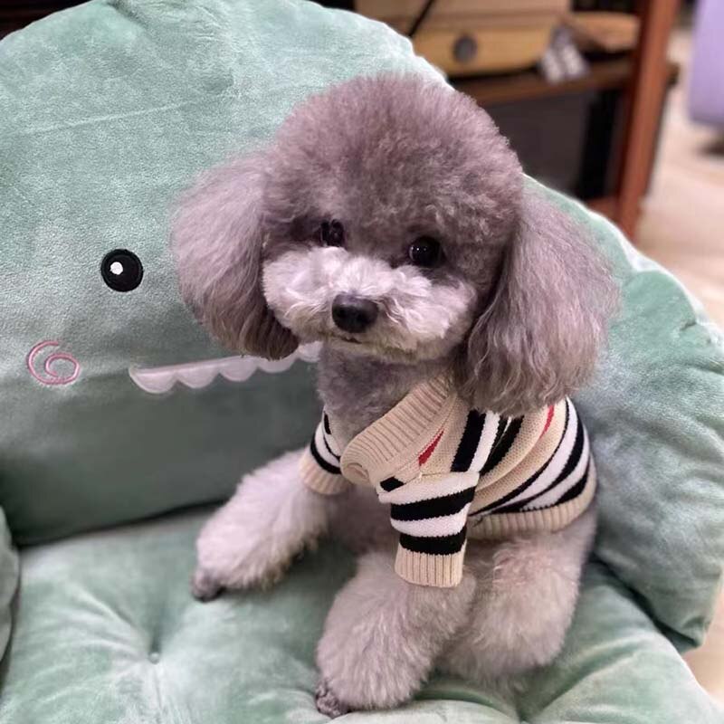 Berry Berry Pooch Sweater