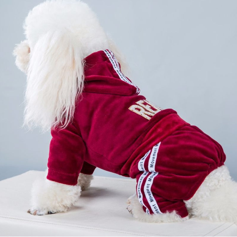 Pooch Diva Sweatsuit