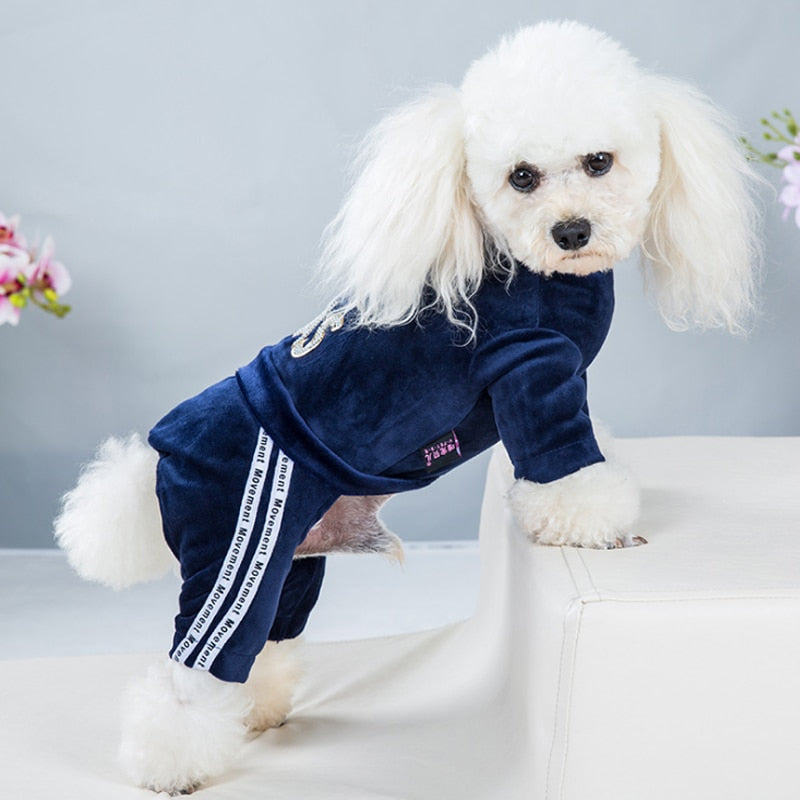Pooch Diva Sweatsuit