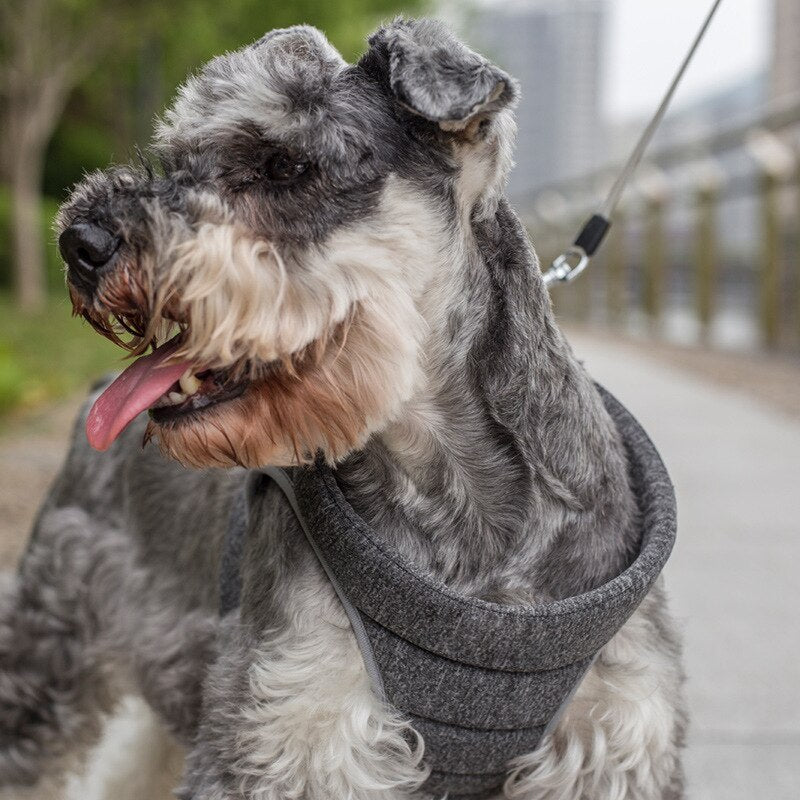 Mr Gary Pooch Cozy Harness