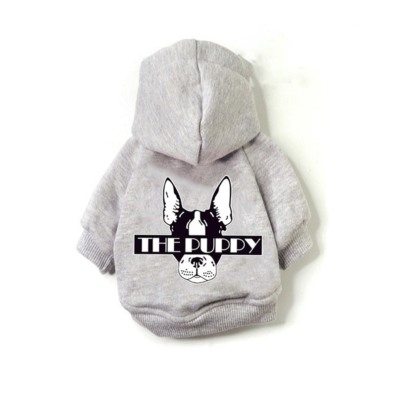 Art Pooch Hoodie