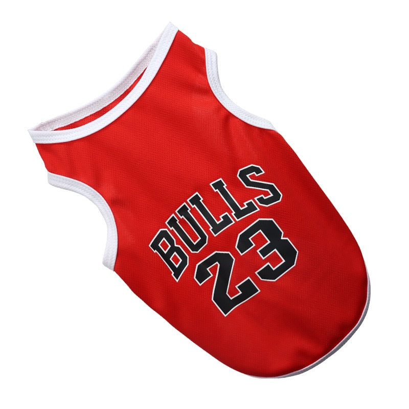 Pooch Basketball Jersey US