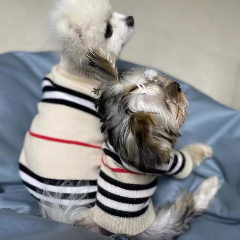 Berry Berry Pooch Sweater