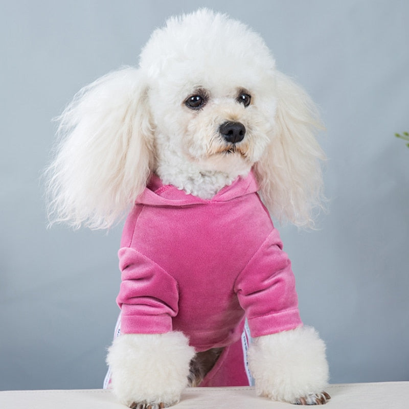 Pooch Diva Sweatsuit