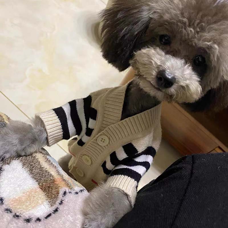 Berry Berry Pooch Sweater