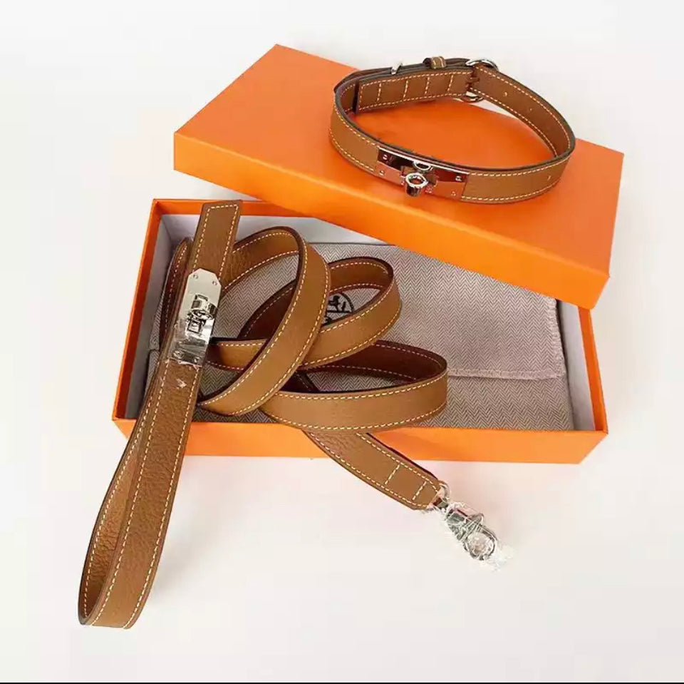 Classic 8 Pooch Collar & Leash Set