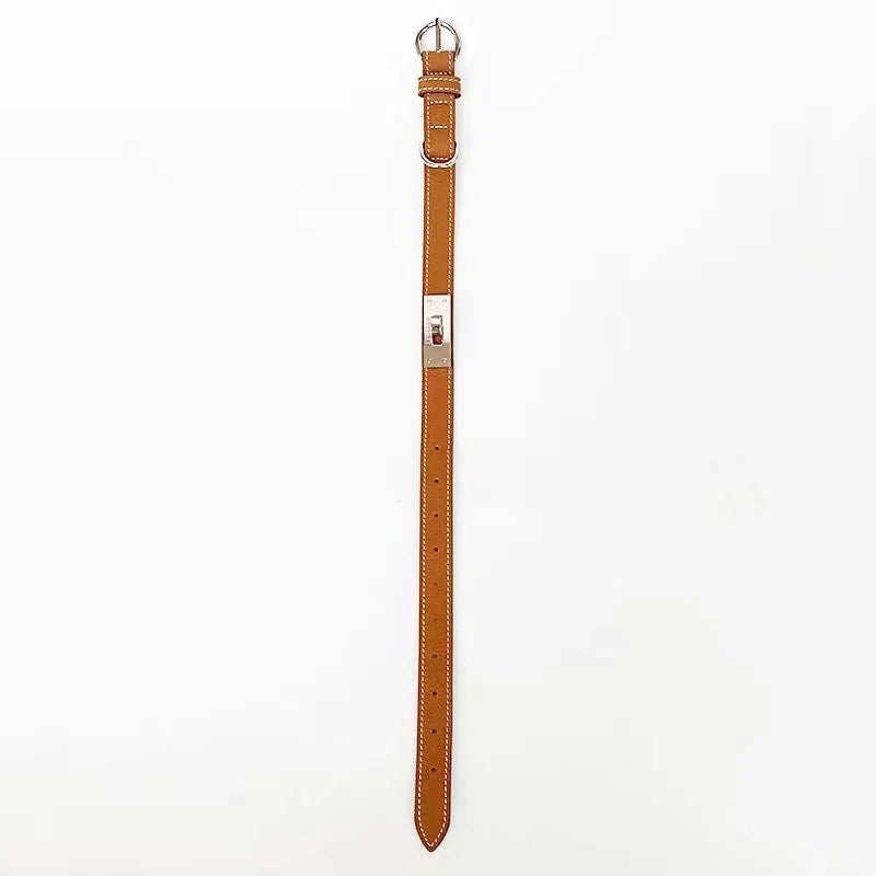 Classic 8 Pooch Collar & Leash Set