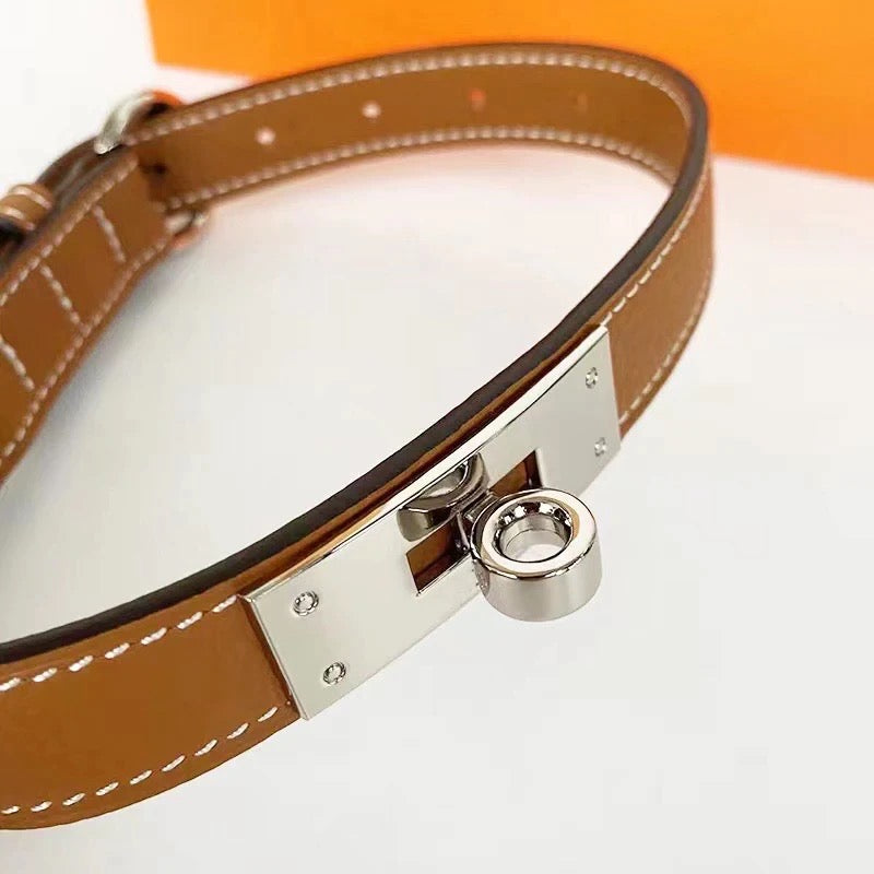 Classic 8 Pooch Collar & Leash Set