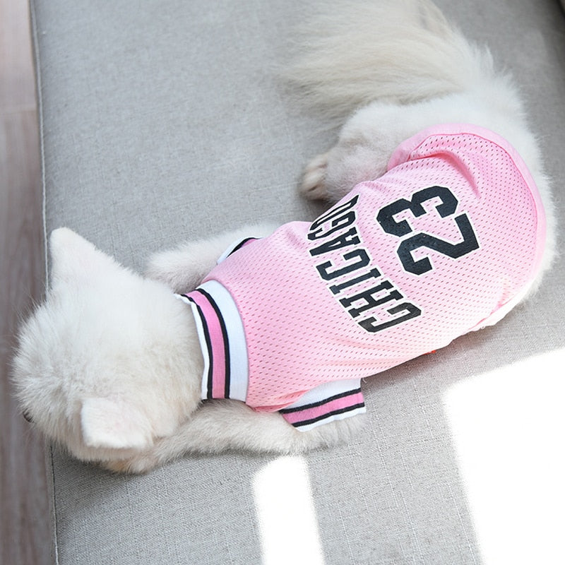 Pooch Chicago Jersey Basketball