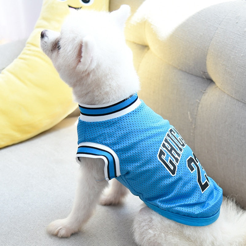 Pooch Chicago Jersey Basketball