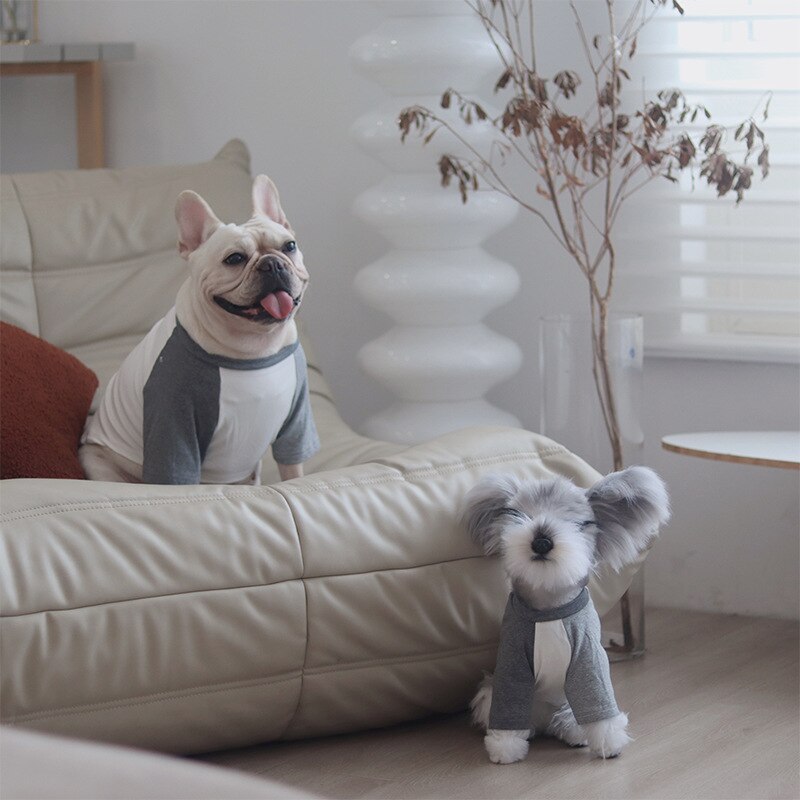 Channel Pooch Sweater Cape