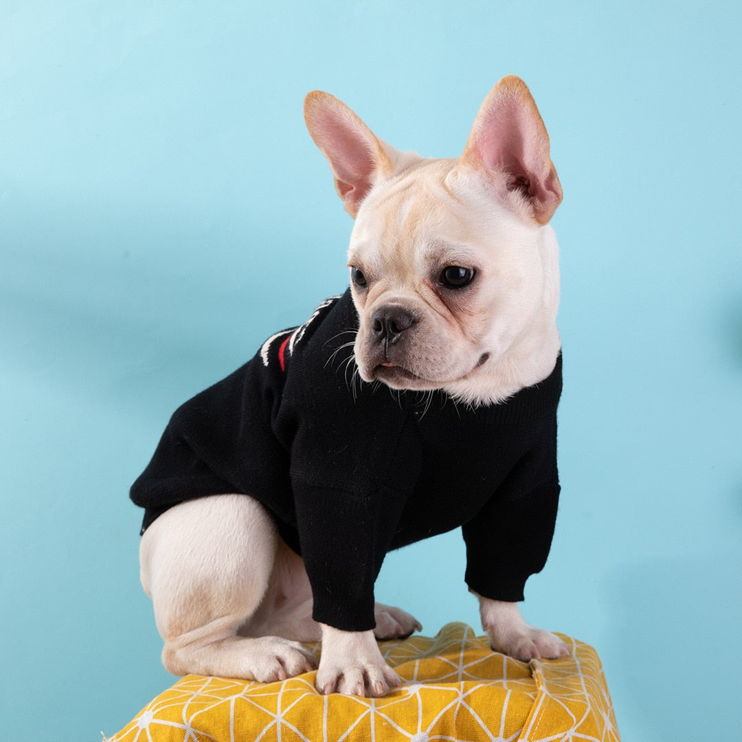 Pooch Palenicaga Sweater