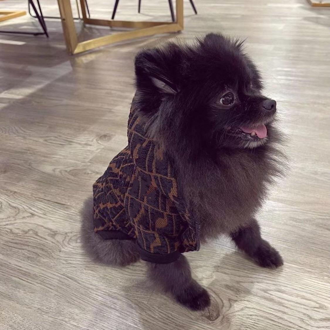 FF Pooch Hood Jacket