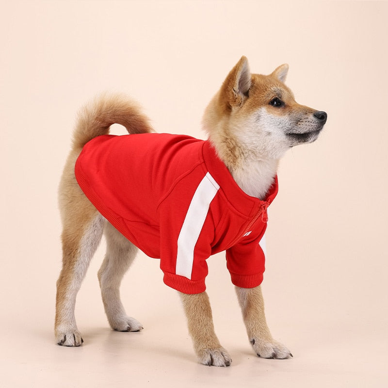 Poma Pooch Zip Jacket