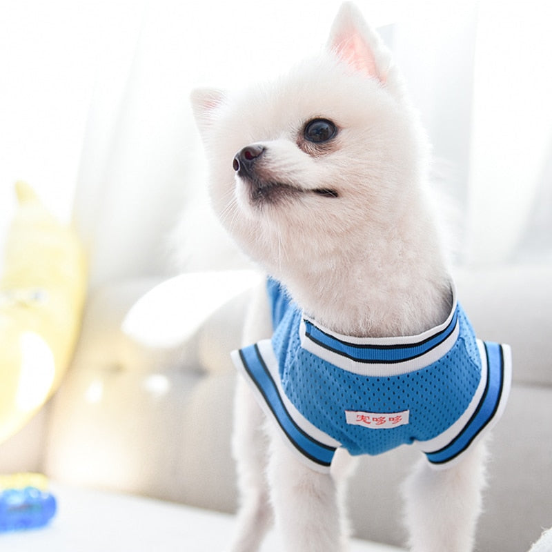 Pooch Chicago Jersey Basketball