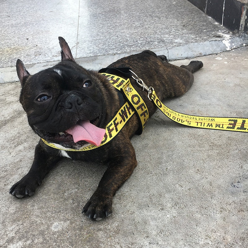 OFF Leash Harness Set
