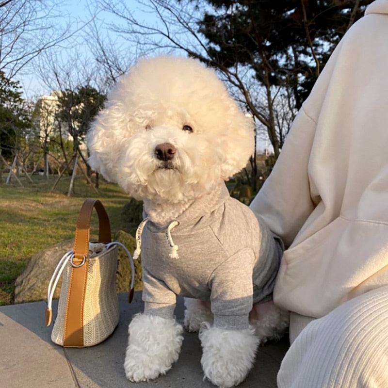 Keep Me Warm Pooch Hoodie