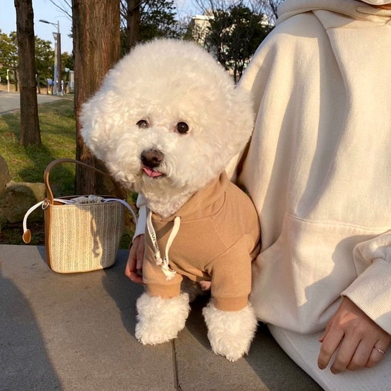 Keep Me Warm Pooch Hoodie