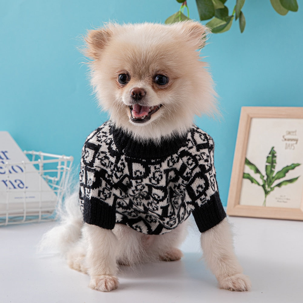 CD Pooch Sweater