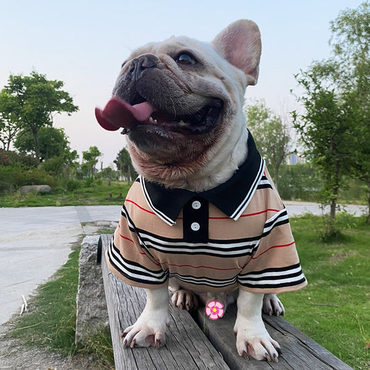 |14:193#B1638 Khaki;5:100014066#For hat|14:193#B1638 Khaki;5:100014064|14:193#B1638 Khaki;5:361386|14:193#B1638 Khaki;5:361385|14:193#B1638 Khaki;5:100014065|14:193#B1638 Khaki;5:4182|14:193#B1638 Khaki;5:4183|14:193#B1638 Khaki;5:200000990|14:193#B1638 Khaki;5:200000991