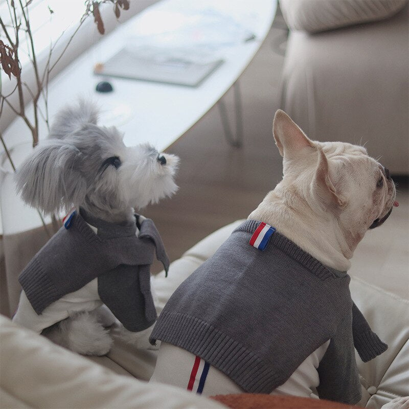 Channel Pooch Sweater Cape