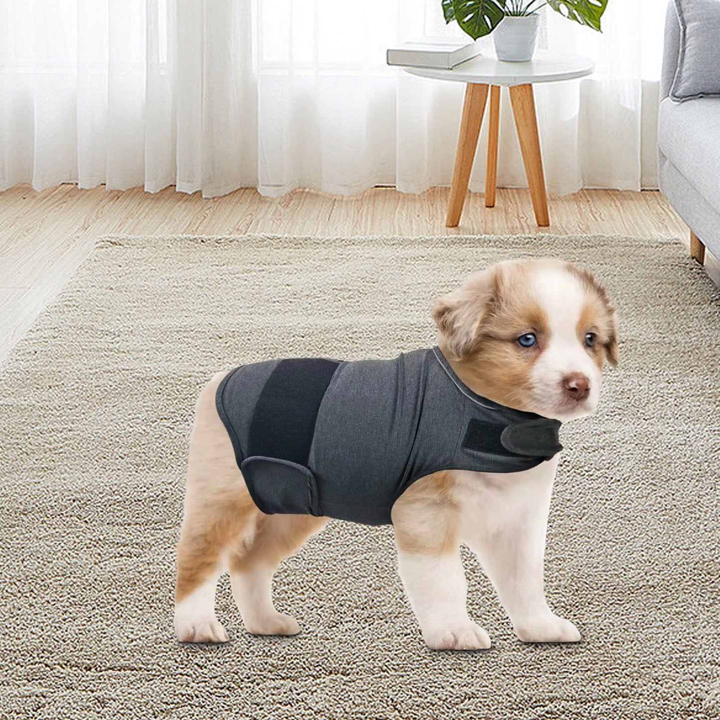 Pooch Calming Vest