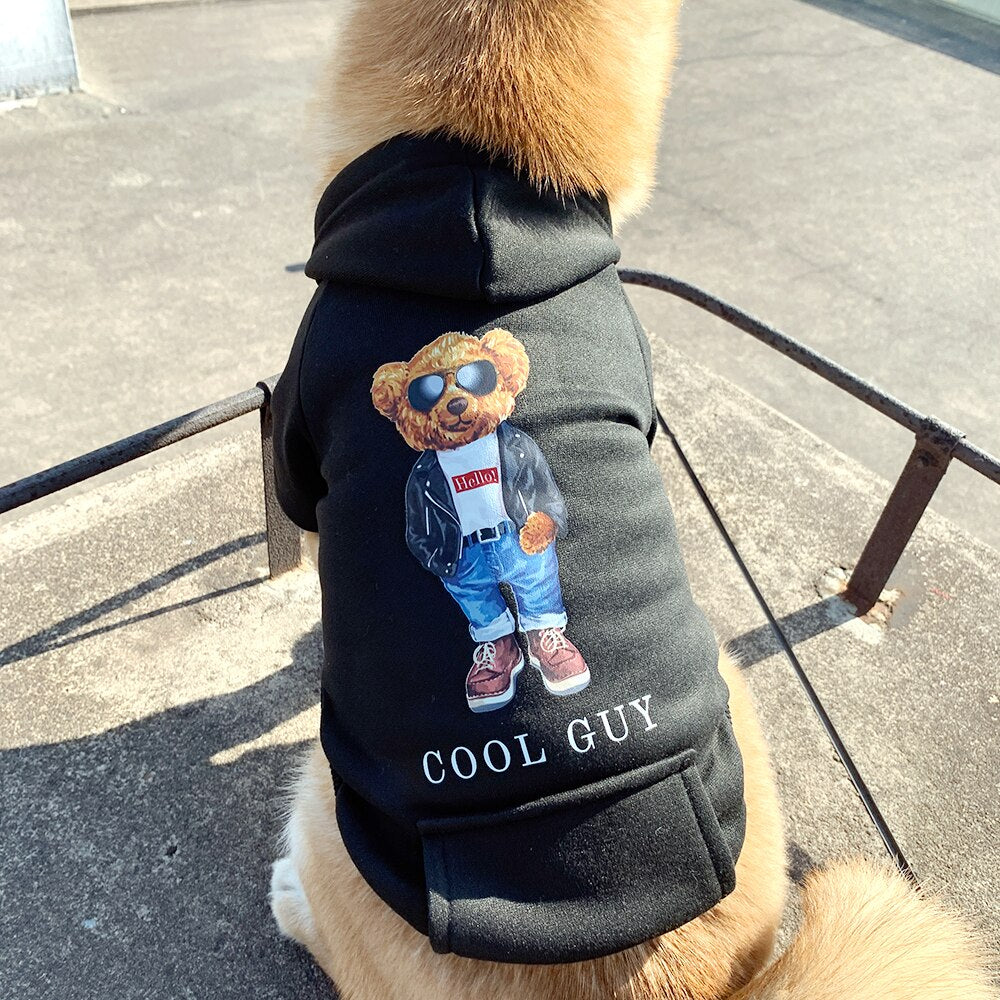 Cool Pooch Hoodie