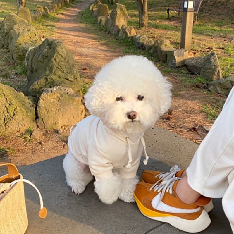 Keep Me Warm Pooch Hoodie