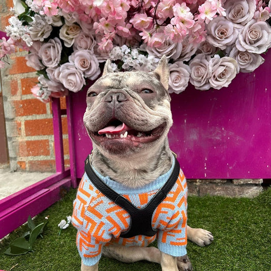 Furry Friend Pooch Sweater