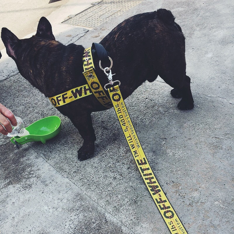 OFF Leash Harness Set