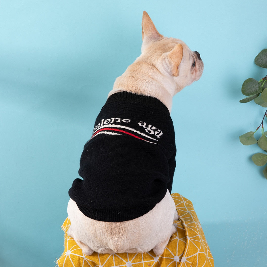 Pooch Palenicaga Sweater