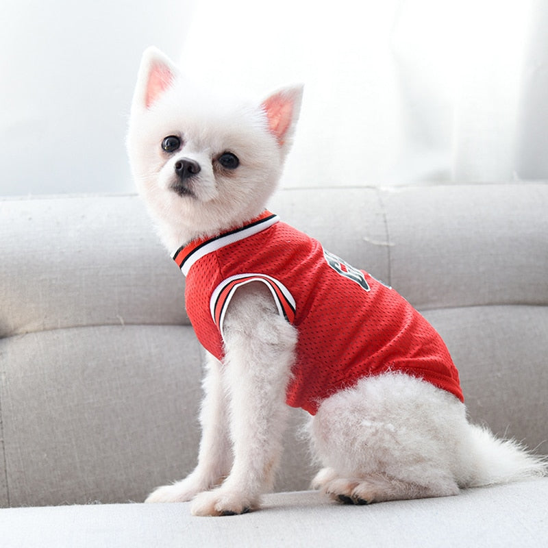 Pooch Chicago Jersey Basketball