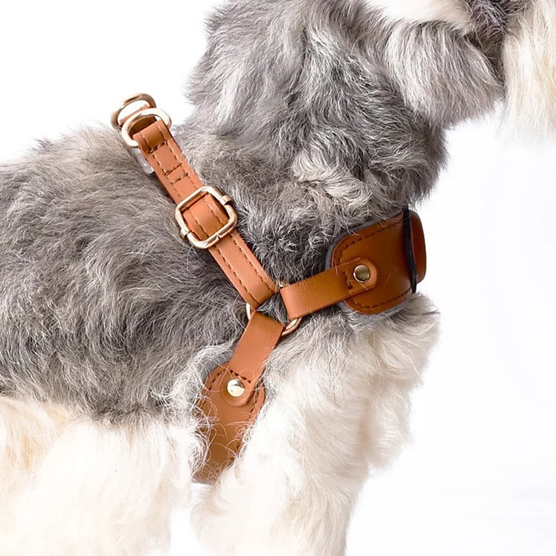Poochles Premium Cushion Dog Leash & Harness Set – Poochles India
