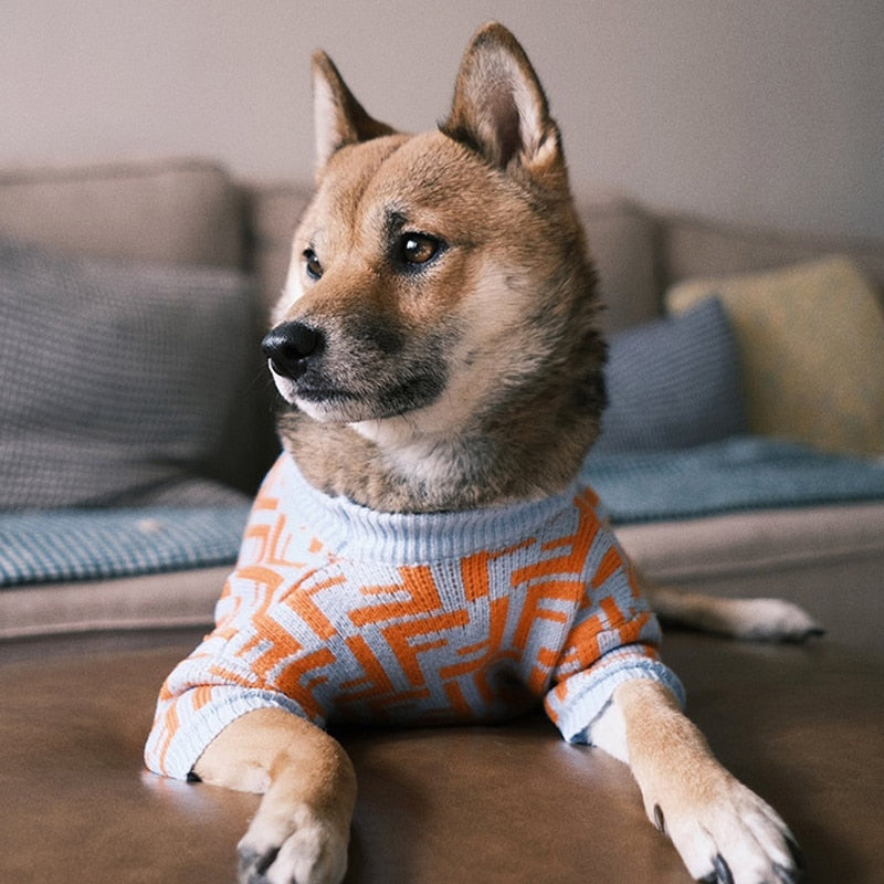 Furry Friend Pooch Sweater