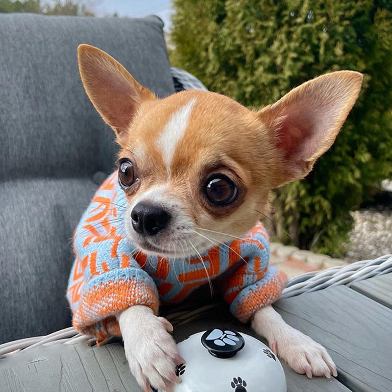 Furry Friend Pooch Sweater